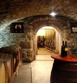 Hotel vipava