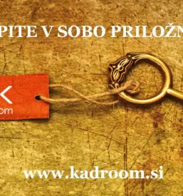 Iskanje talentov za kadre slovenija