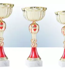 Poceni izdelava pokalov Gorenjska