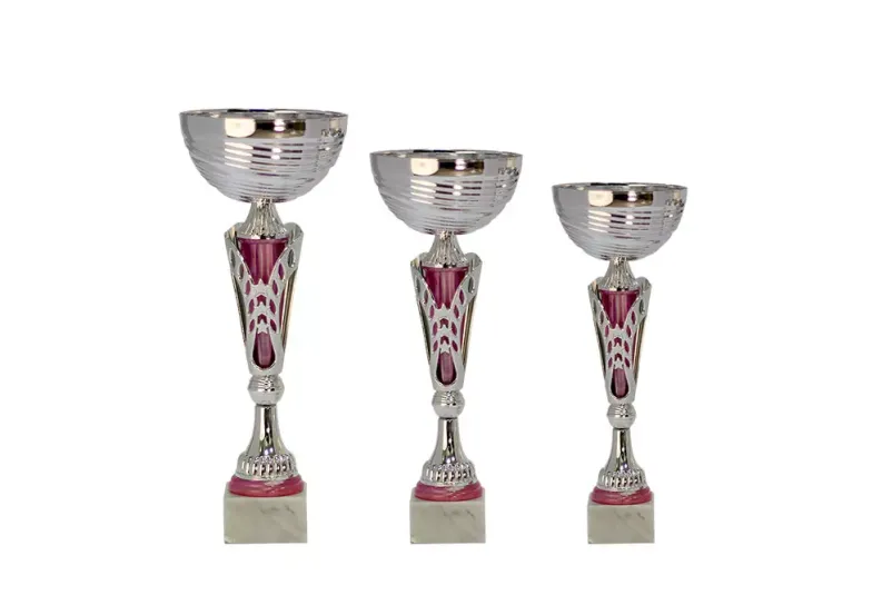 Izdelava pokalov Gorenjska regija