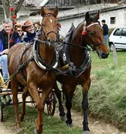 Jahalna sola na gorenjskem