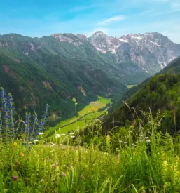 Turistična kmetija z nastanitvijo Logarska Dolina
