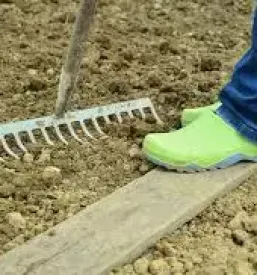 Sveža zelenjava Grosuplje