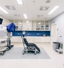 Korekcijska ocala posavje