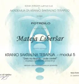 Kranio sakralna terapija Ljubljana, Slovenija