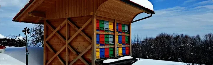 Najbolj kvaliteten med v Sloveniji