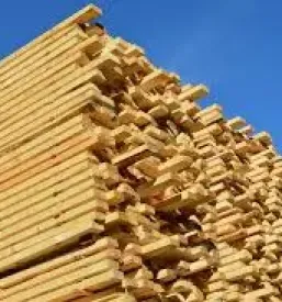 Razrez hlodovine in prodaja rezanega lesa Posavje