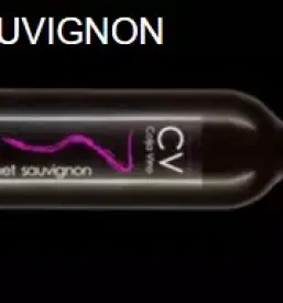 Kvalitetna bela vina kras