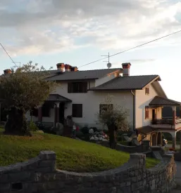 Kvalitetna vina goriska