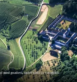 Domače vino 