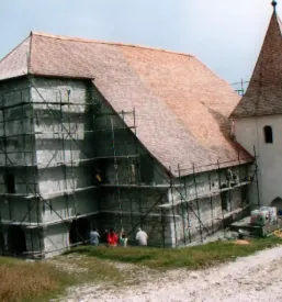 Macesnove in smrekove skodle slovenija