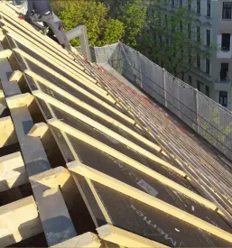 Popravilo strehe Savinjska