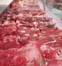 Meso za zar koper