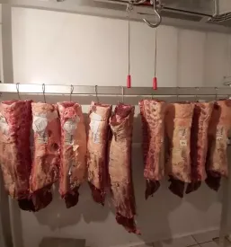 Meso za žar koper