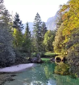 Ugodne dvoposteljne sobe v Bohinju