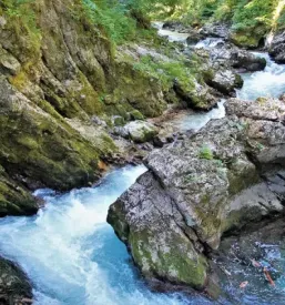 Najlepše sobe v Bohinju