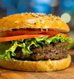 Najboljsi hamburgerji kebab stari trg pri lozu