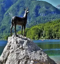 Najem prostega apartmaja bohinj