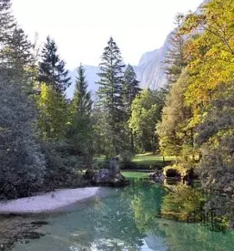 Najem prostega apartmaja bohinj