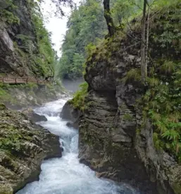 Najem prostega apartmaja bohinj