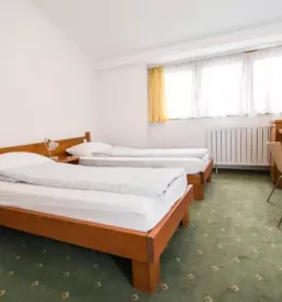Nocitev v hotelu savinjska