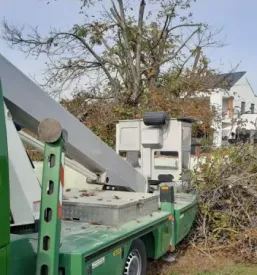 Obrezovanje drevja na visini pomurje