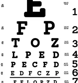 Optika maribor