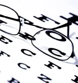 Optika štajerska