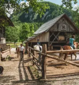 Jahanje za otroke Gorenjska