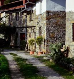 Poceni nočitve v Goriških Brdih