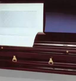 Pogrebne storitve Savinjska
