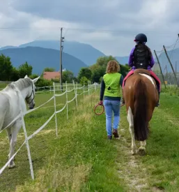 Poletni tabori s konji za otroke Celje, Savinjska