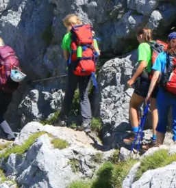 Pomoč sladkornim bolnikom Slovenija