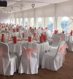 Organizacija porok
