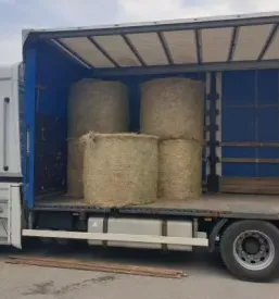 Prevozi paletnega tovora za hrvasko in slovenijo