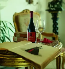 Velika ponudba arhivskih vin na Primorskem