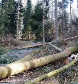 Prodaja kmetijske mehanizacije koroska