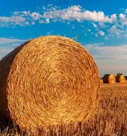 Prodaja kmetijskega materiala stajerska
