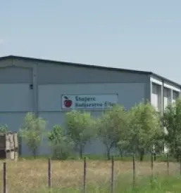 Veleprodaja kvalitetnih domačih jabolk Slovenija