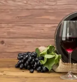 Prodaja pravega terana Kras
