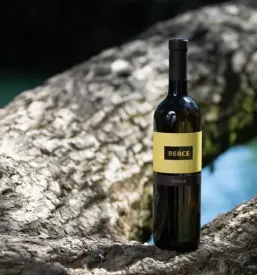 Izbrana vina Vipavska dolina