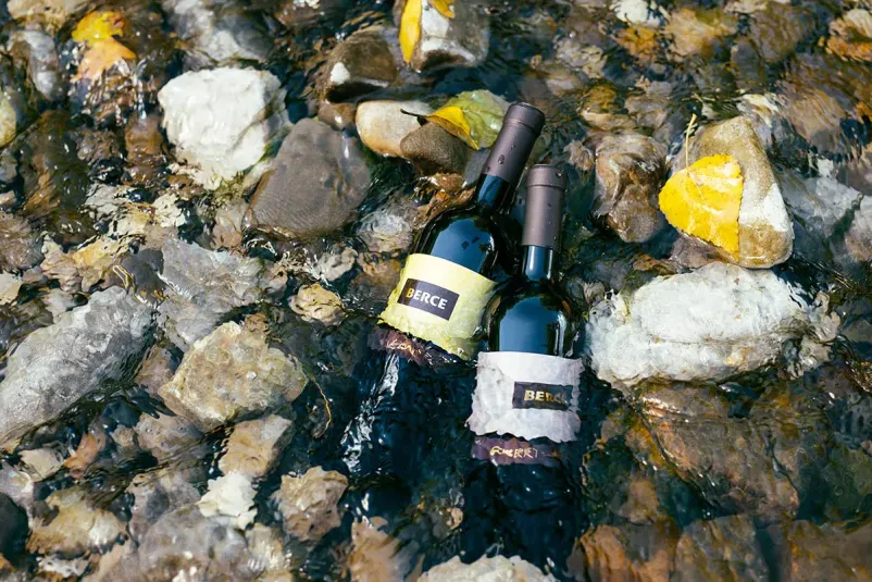 Nakup vina iz Vipavske doline