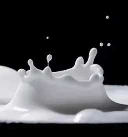 Raw milk slovenia
