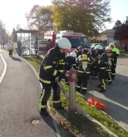 Reševanje v naravnih nesrečah Pomurje, Slovenija