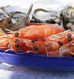 Ristorante di pesce a pirano
