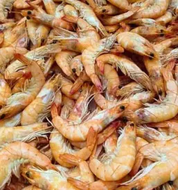 Ristorante di pesce a pirano