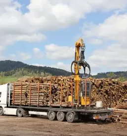 Sečnja, spravilo in prevoz lesa Slovenija