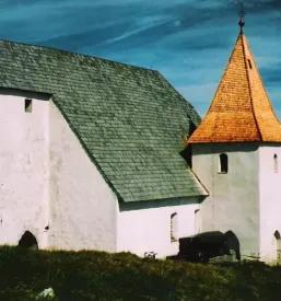 Smrekove skodle slovenija
