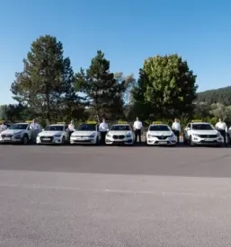 Sola voznje muta