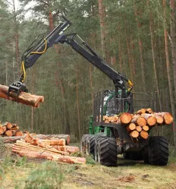 Strojna sečnja lesa Gorenjska
